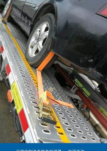 廠家直銷汽車貨物滌綸捆綁帶 優(yōu)質(zhì)安全運輸?shù)牡昧χ? class=